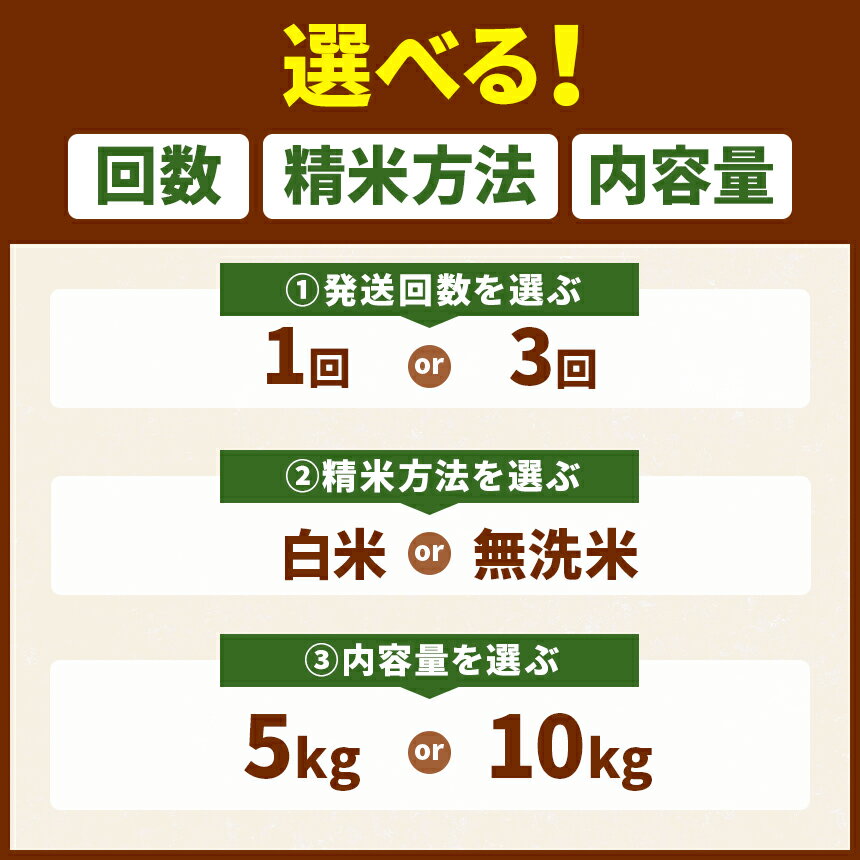 【ふるさと納税】選べる 奈良大和路 ひのひかり 5kg 10kg 白米 無洗米 | 単一米 米 コメ こめ ご飯 ゴハン ごはん 大容量 奈良県 大淀町 ヒノヒカリ もちもち - 画像2