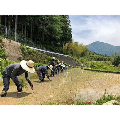 【ふるさと納税】純米酒「谷瀬」720ml×2本【1109773】 サムネイル2