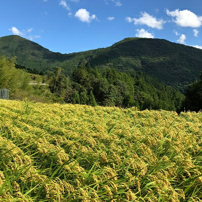 【ふるさと納税】純米酒「谷瀬」720ml×2本【1109773】 サムネイル3