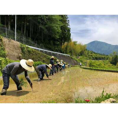 【ふるさと納税】ときがゆったり流れてる”十津川　谷瀬”の地酒!季節限定【生酒・火入れ】720ml　各1本【配送不可地域：離島】【1226649】 サムネイル2