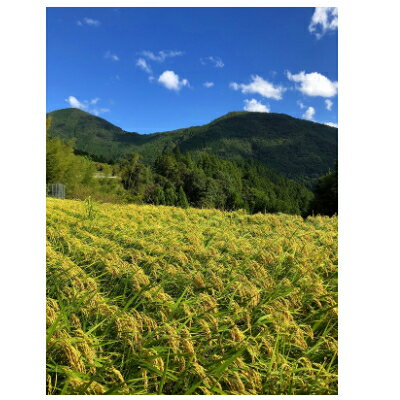 【ふるさと納税】ときがゆったり流れてる”十津川　谷瀬”の地酒!季節限定【生酒・火入れ】720ml　各1本【配送不可地域：離島】【1226649】 サムネイル3