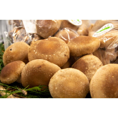 【ふるさと納税】肉厚生しいたけ・干ししいたけセット【配送不可地域：離島】【1259444】 - 画像2