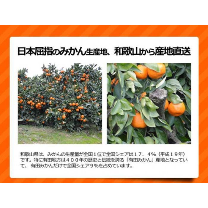 【ふるさと納税】［先行予約］訳ありみかん 約10kg(箱込み）　和歌山県産 サムネイル2