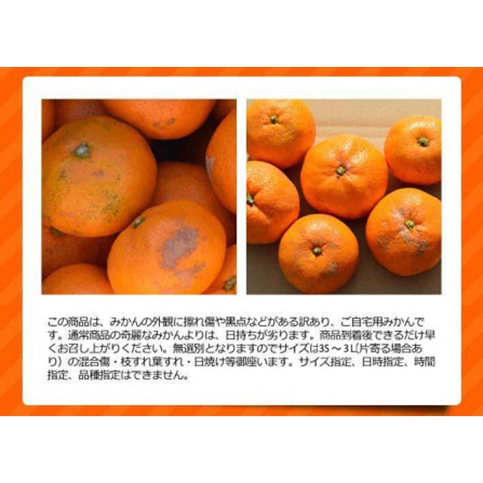 【ふるさと納税】［先行予約］訳ありみかん 約10kg(箱込み）　和歌山県産 サムネイル3
