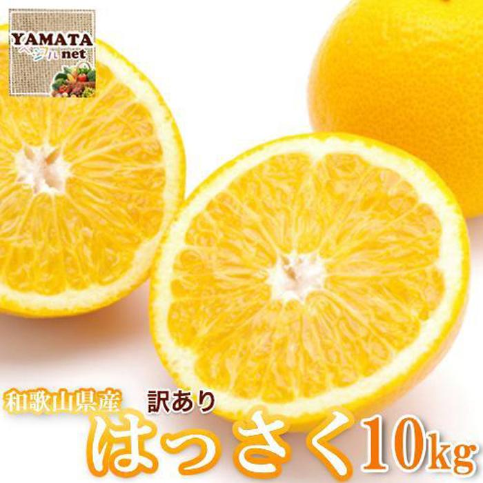 【訳あり】はっさく 和歌山産 八朔 10kg 【ご自宅用・サイズ不揃い・キズ等あり】 | フルーツ 果物 くだもの 食品 人気 おすすめ 送料無料