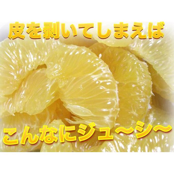 【ふるさと納税】【訳あり】はっさく 和歌山産 八朔 10kg 【ご自宅用・サイズ不揃い・キズ等あり】 | フルーツ 果物 くだもの 食品 人気 おすすめ 送料無料 サムネイル3