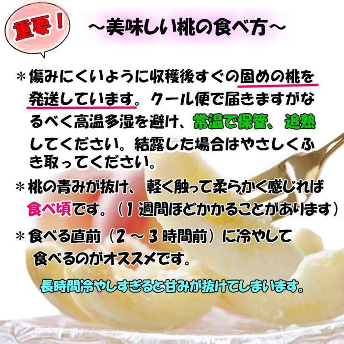 【ふるさと納税】【秀品】和歌山ブランド白桃 約2kg！ 2026年8月発送分 | フルーツ 果物 くだもの 食品 人気 おすすめ 送料無料 サムネイル3