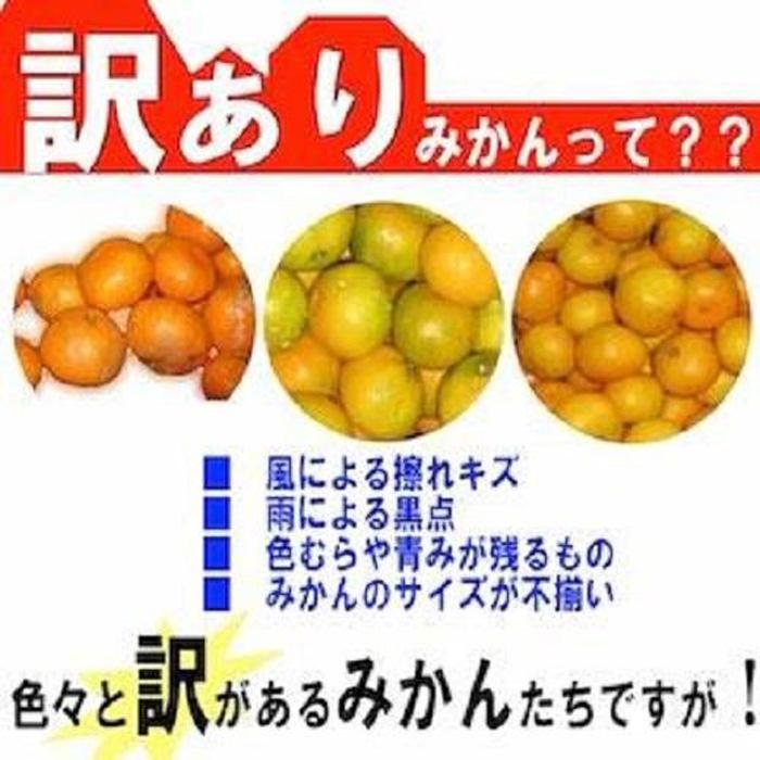 【ふるさと納税】和歌山産 【極早生】みかん 7 . 5kg 【訳あり】【サイズ不揃い・キズ等あり】 | フルーツ 果物 くだもの 食品 人気 おすすめ 送料無料 サムネイル2