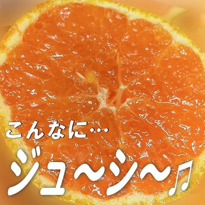 【ふるさと納税】和歌山産 【極早生】みかん 7 . 5kg 【訳あり】【サイズ不揃い・キズ等あり】 | フルーツ 果物 くだもの 食品 人気 おすすめ 送料無料 サムネイル3