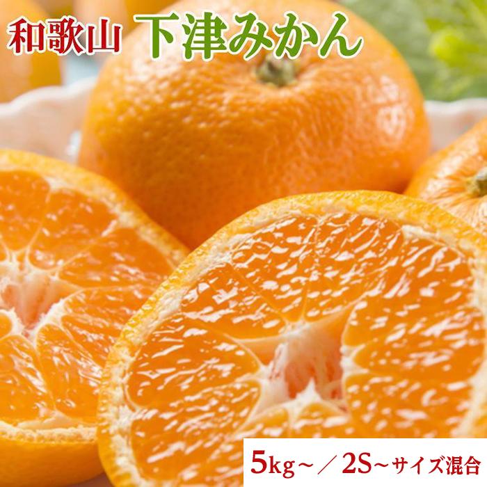 【産直・秀品】和歌山下津みかん約5kg／6kg／9kg（2S／S／2L／混合サイズ）★2025年11月中旬頃より順次発送 | 和歌山 返礼品 お取り寄せグルメ お取り寄せ 取り寄せ グルメ フルーツ 果物 くだもの みかん ミカン みかん 蜜柑 柑橘類 おいしいみかん