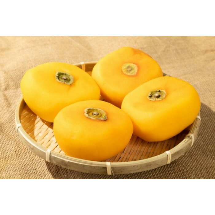 【ふるさと納税】生渋柿たね無 あんぽ柿用T軸枝無約1.5～2kg　6～12玉＜2026年10月中旬～11月上旬ごろ順次発送＞【ART14】 サムネイル2