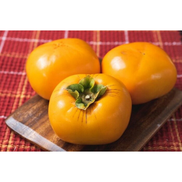 【ふるさと納税】生渋柿たね無 あんぽ柿用T軸枝無約1.5～2kg　6～12玉＜2026年10月中旬～11月上旬ごろ順次発送＞【ART14】 サムネイル3