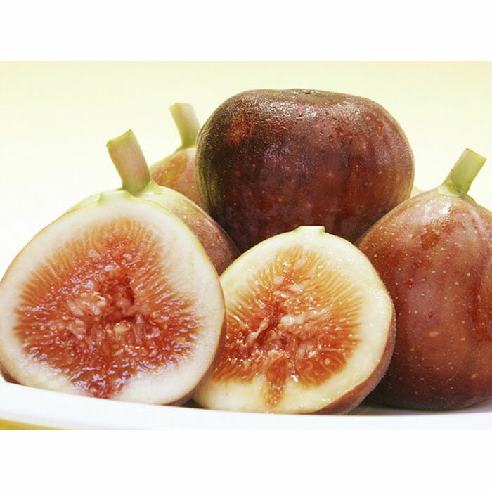 和歌山産 いちじく 秀品800g(400g×2パック) | 和歌山市 果物 いちじく フルーツ 甘い 人気 おすすめ 無花果 旬の味 果実 ギフト 詰め合わせ お取り寄せ 通販 送料無料 ふるさと納税