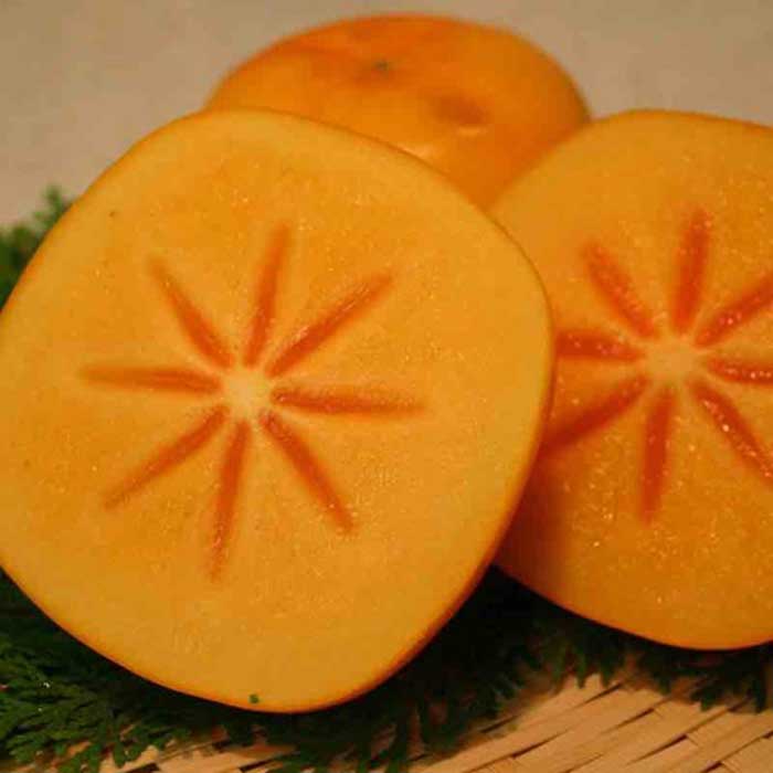 【ふるさと納税】和歌山産 たねなし柿 10kg (5kg×2箱) | 和歌山県 和歌山市 種無し 柿 タネなし柿 フルーツ ふるーつ 果物 取り寄せ グルメ お取り寄せ グルメ 仲谷早生 刀根早生 平核無柿 サムネイル3