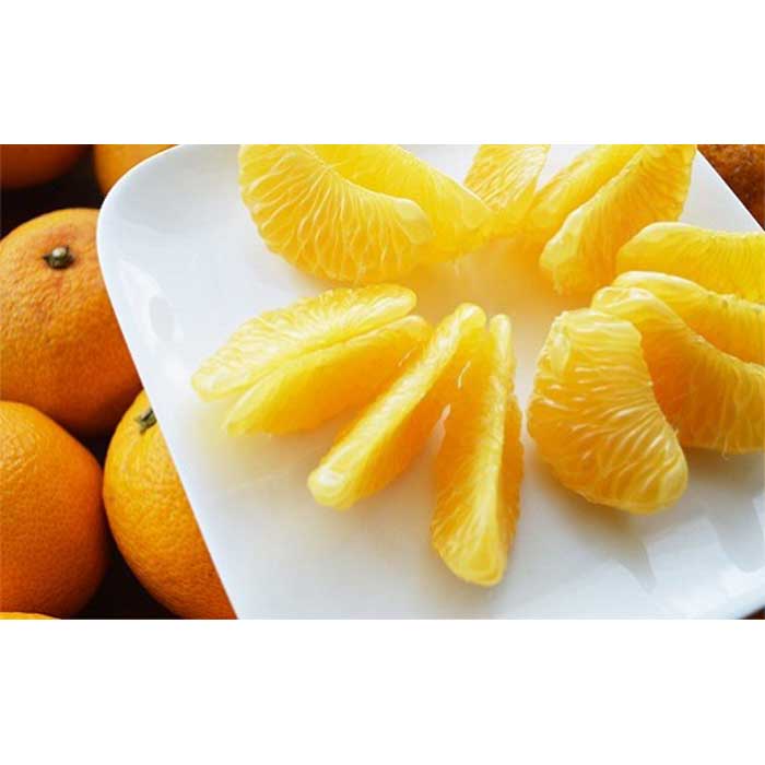 和歌山県産 八朔 秀品 箱込約10kg（約9kg＋保証分500g） | 和歌山県 和歌山市 和歌山 返礼品 お取り寄せグルメ お取り寄せ 取り寄せ グルメ フルーツ 果物 くだもの はっさく 柑橘 柑橘類 かんきつ類 特産品 ご当地 おいしい 美味しい 食べ物