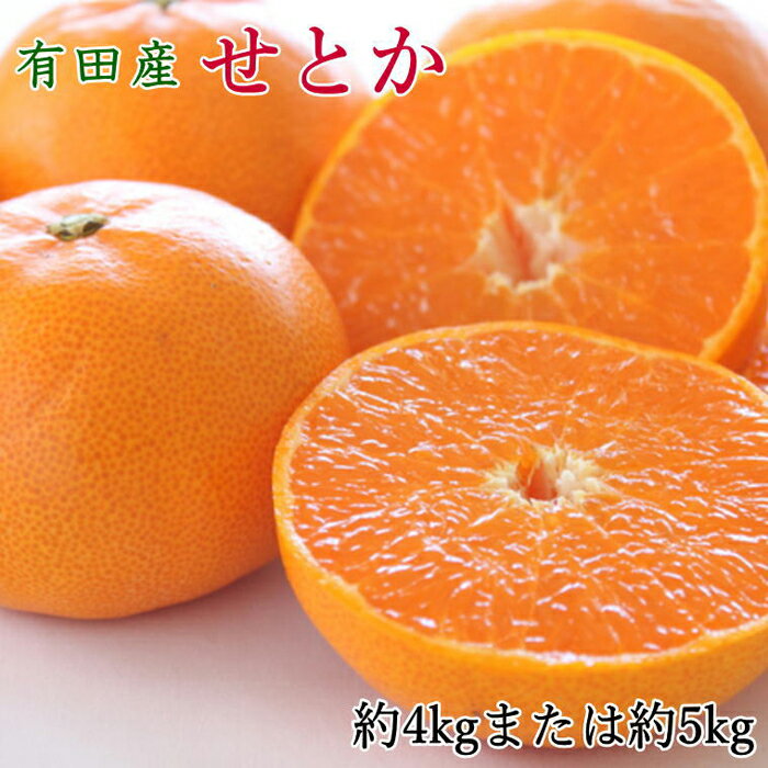 一度は食べていただきたい「有田産のせとか」約4～5kg（サイズおまかせ）★2026年2月中旬頃より順次発送［TM138］ | 和歌山市 和歌山 楽天ふるさと 納税 支援品 返礼品 お取り寄せグルメ お取り寄せ 取り寄せ グルメ フルーツ 果物 くだもの 柑橘