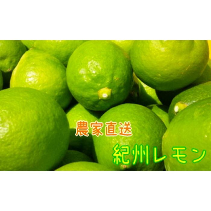 【国産】農家直送!　紀州レモン　約3kg