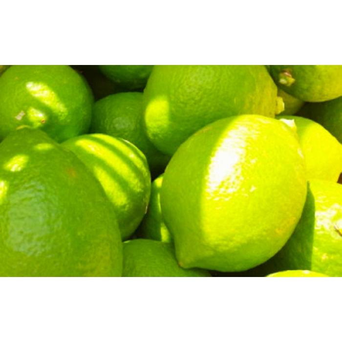 【ふるさと納税】【国産】農家直送!　紀州レモン　約3kg サムネイル2