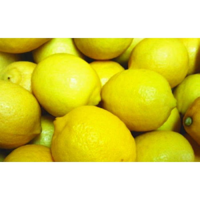 【ふるさと納税】【国産】農家直送!　紀州レモン　約3kg サムネイル3