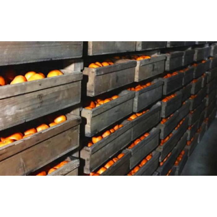 【ふるさと納税】【紀州伝統の味】 下津 蔵出し みかん 10kg【混合サイズ】 サムネイル2