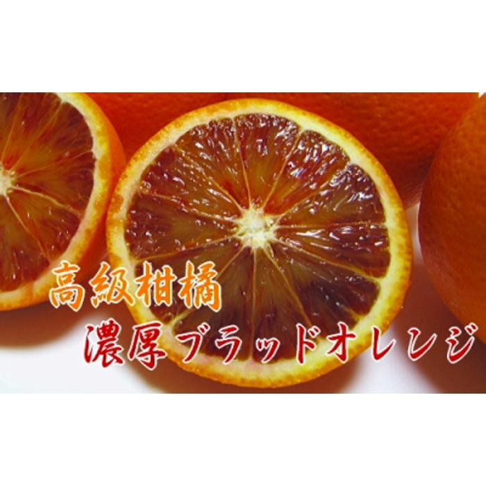 【高級柑橘】和歌山県産 ブラッド オレンジ “タロッコ” 約5kg