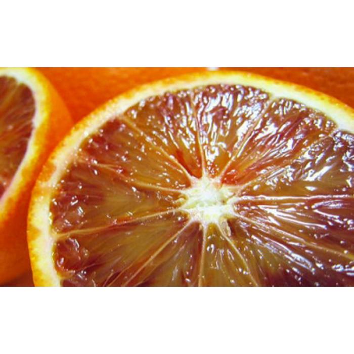 【ふるさと納税】【高級柑橘】和歌山県産 ブラッド オレンジ “タロッコ” 約3kg サムネイル2