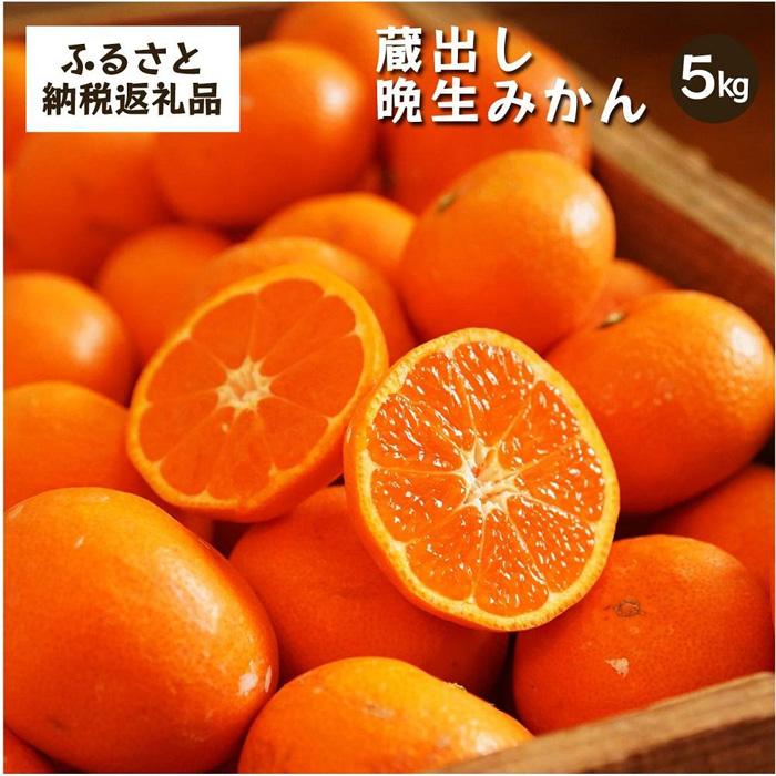 蔵出しみかん晩生　5kg家庭用｜和歌山県海南市下津町の特産品蔵出しみかんの晩生品種【2026年1月発送開始】 | ふるさと納税 楽天 蔵出し お礼の品 特産品 果物 フルーツ ミカン 蜜柑 柑橘類 みかん 特産品 甘い