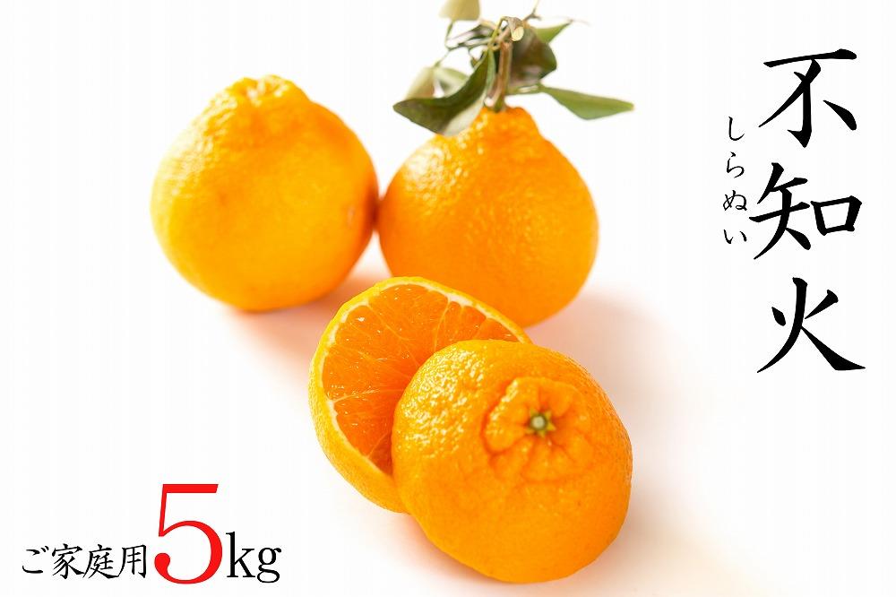 不知火約5kg 15～24玉入り 《ご家庭用》 訳あり 和歌山県産 農園直送 まごころ産直みかん【北海道・沖縄県・離島配送不可】みかん 柑橘 しらぬい デコポンと同じ品種 ［Mg54］ | 海南市 家庭用 人気 おすすめ 農園直送 お取り寄せ ふるさと納税