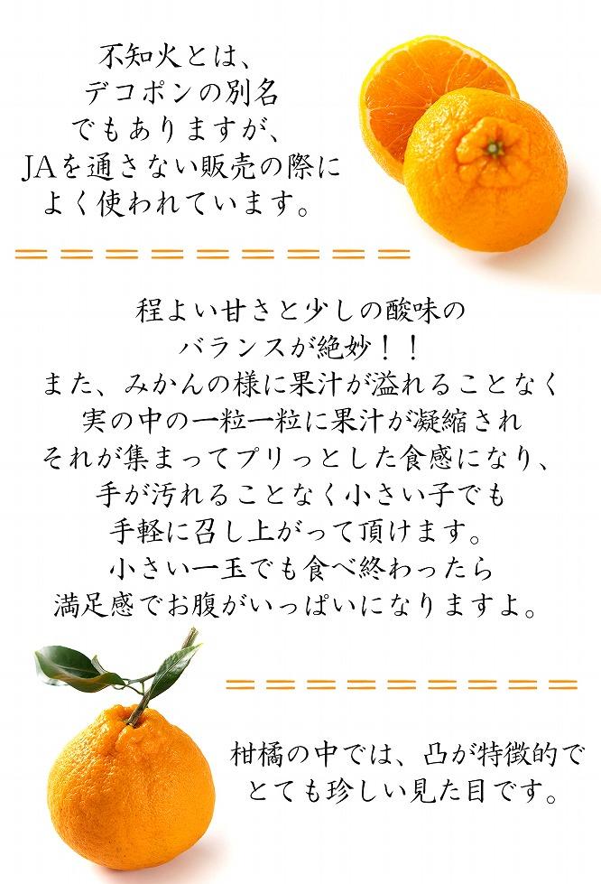 【ふるさと納税】不知火約5kg 15～24玉入り 《ご家庭用》 訳あり 和歌山県産 農園直送 まごころ産直みかん【北海道・沖縄県・離島配送不可】みかん 柑橘 しらぬい デコポンと同じ品種 ［Mg54］ | 海南市 家庭用 人気 おすすめ 農園直送 お取り寄せ ふるさと納税 - 画像2