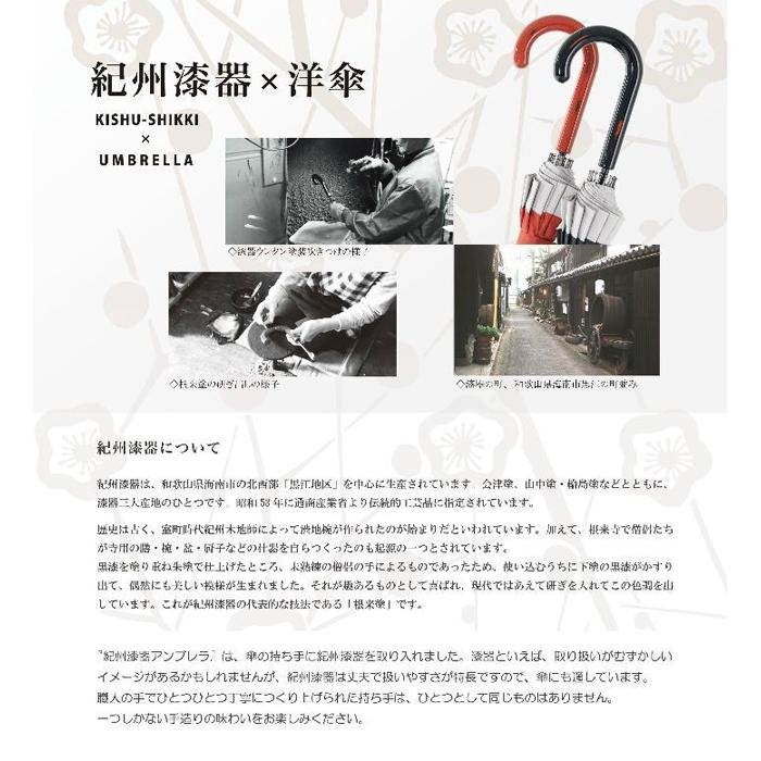 【ふるさと納税】傘　紀州漆器アンブレラ　16本骨和傘　メンズ ｜ 男性　紳士　風に強い丈夫なグラスファイバー骨　カバー付き　父の日・敬老の日・誕生日・記念品など贈り物にも適したギフト箱入り ※着日指定不可 | 紀州漆器 傘 和傘 ギフト 贈り物 紳士 婦人 サムネイル3