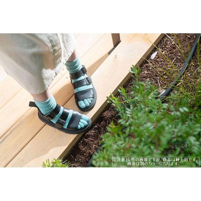 【ふるさと納税】TRAILER GARDENブランド 5本指ソックス2足セットA(25~27cm) サムネイル2