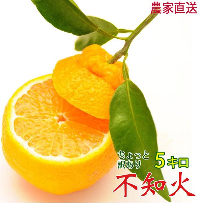 不知火 約5kg 24～28玉 《ご家庭用》 ちょっと訳あり 和歌山県産 農園直送 まごころ産直みかん 【北海道・沖縄県・一部離島 配送不可】訳アリ わけあり みかん しらぬい デコポンと同じ品種 でこぽん | 不知火 しらぬい 柑橘類 オレンジ ポンカン