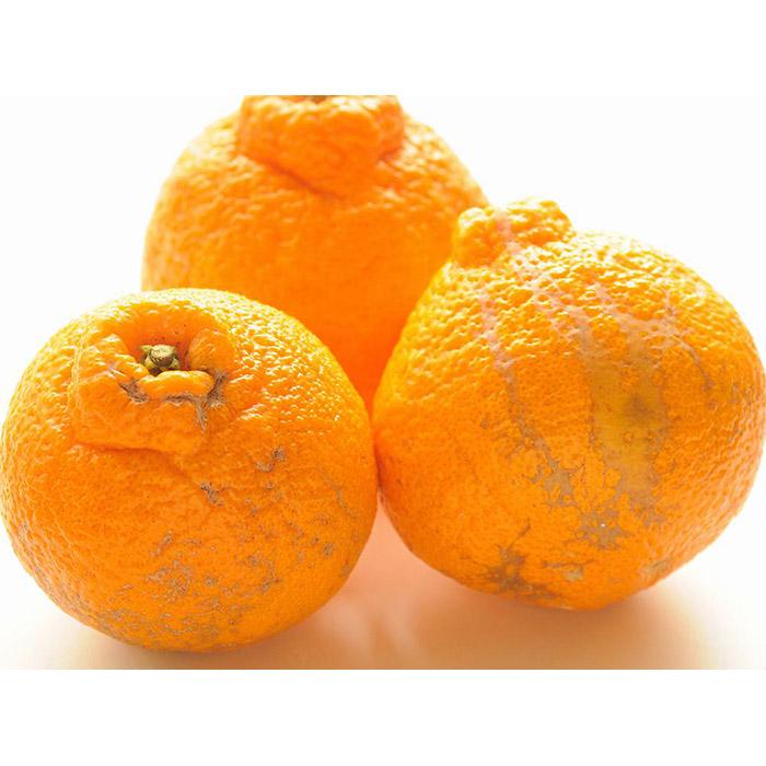 【ふるさと納税】不知火 約5kg 24～28玉 《ご家庭用》 ちょっと訳あり 和歌山県産 農園直送 まごころ産直みかん 【北海道・沖縄県・一部離島 配送不可】訳アリ わけあり みかん しらぬい デコポンと同じ品種 でこぽん | 不知火 しらぬい 柑橘類 オレンジ ポンカン サムネイル3