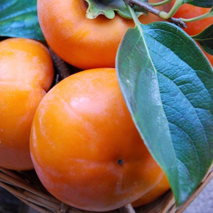 【ふるさと納税】 [甘柿の王様]和歌山産富有柿　約7.5kg サイズおまかせ★2025年11月上旬頃より順次発送【TM5】 サムネイル2