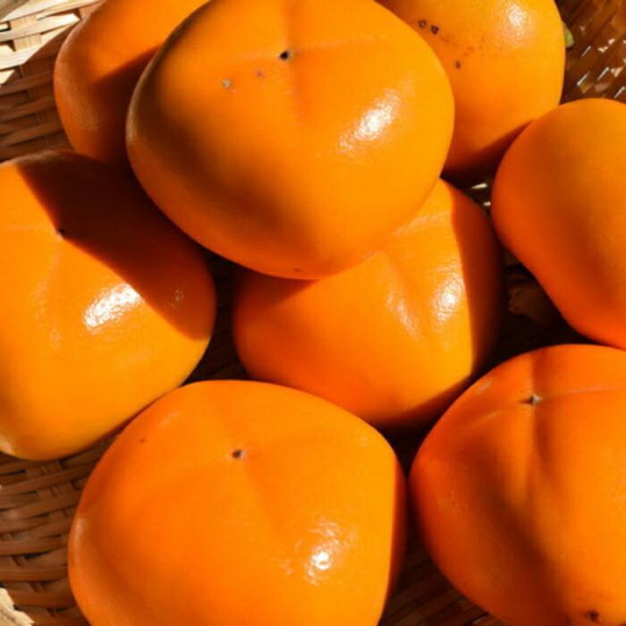 【ふるさと納税】和歌山産たねなし柿（サイズおまかせ）約7.5kg・秀品★2025年10月頃より順次発送［TM10］ サムネイル2