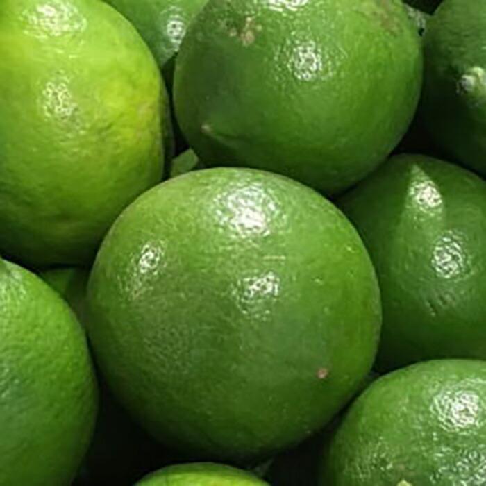 【ふるさと納税】［産直］和歌山産グリーンレモン約3kg（サイズ混合）★2025年10月下旬頃より順次発送［TM7］ サムネイル3