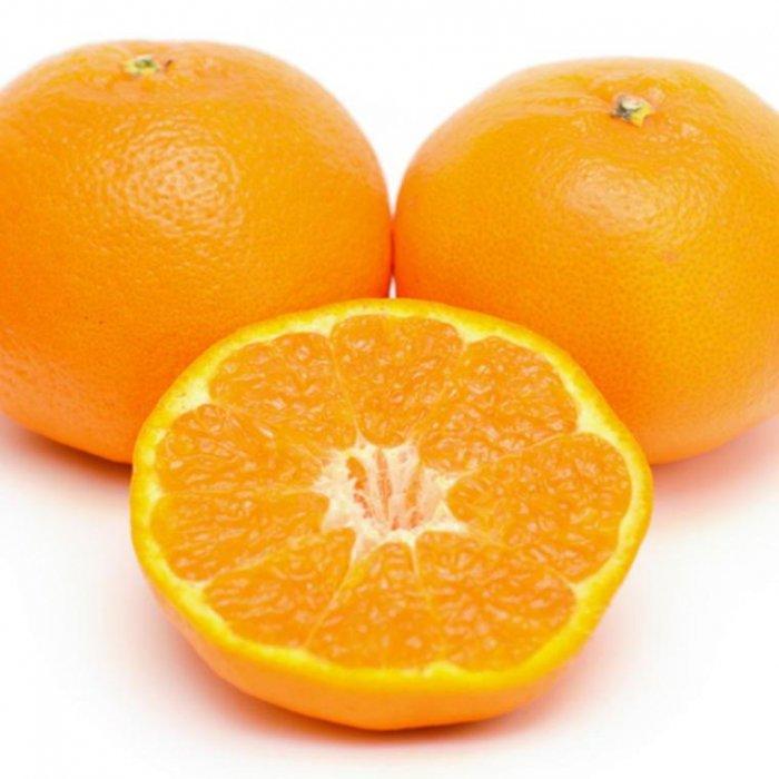 【ふるさと納税】［厳選・濃厚］紀州有田産のはるみ約5kg(Lサイズ) ★2026年1月下旬頃より順次出発送［TM28］ サムネイル3