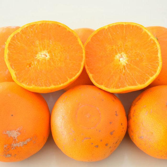 【ふるさと納税】(訳あり・ご家庭用)一度は食べていただきたい「有田産のせとか」約4kg～5kg★2026年2月中旬頃より順次発送［TM210］ サムネイル2