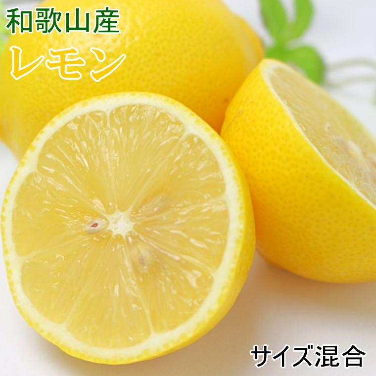 ［産直］和歌山産レモン約5kg（サイズ混合）★2026年3月下旬頃より順次発送［TM129］ | フルーツ 果物 くだもの 食品 人気 おすすめ 送料無料