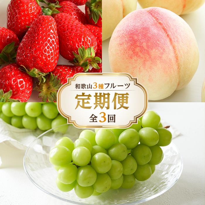 【全3回】和歌山厳選フルーツ定期便（ いちご 桃 シャインマスカット ）【MG16】 | 定期便 頒布会 フルーツ 果物 お取り寄せ グルメ お取り寄せ グルメ 和歌山 和歌山県 旬のフルーツ モモ もも イチゴ まりひめ シャイン 葡萄