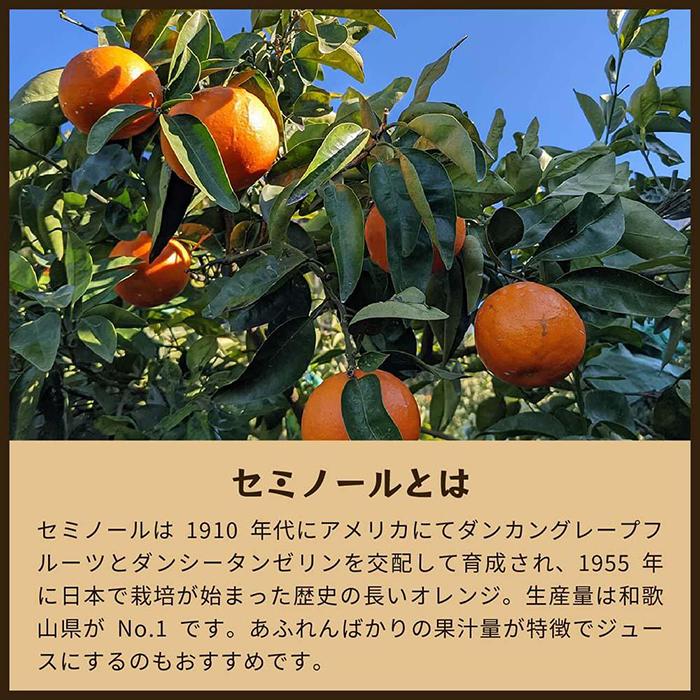【ふるさと納税】セミノール（みかん）5kg家庭用｜和歌山県海南市下津町で育てた高級オレンジを産地直送でお届け【2026年4月発送開始】 | フルーツ 果物 くだもの 食品 人気 おすすめ 送料無料 サムネイル2