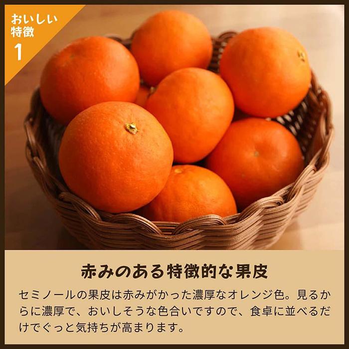 【ふるさと納税】セミノール（みかん）5kg家庭用｜和歌山県海南市下津町で育てた高級オレンジを産地直送でお届け【2026年4月発送開始】 | フルーツ 果物 くだもの 食品 人気 おすすめ 送料無料 サムネイル3