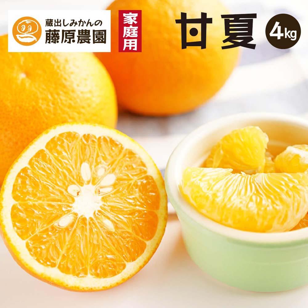 甘夏｜和歌山県海南市から産地直送でお届け｜4kg｜ご家庭用【2026年4月より発送開始】 | フルーツ 果物 くだもの 食品 人気 おすすめ 送料無料