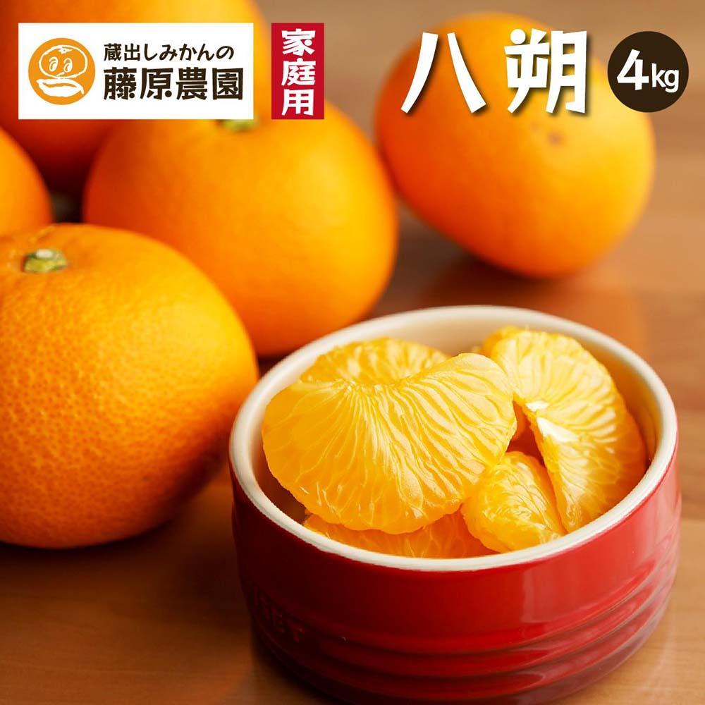 八朔｜和歌山県海南市から産地直送でお届け｜4kg｜ご家庭用【2026年4月より発送開始】 | フルーツ 果物 くだもの 食品 人気 おすすめ 送料無料
