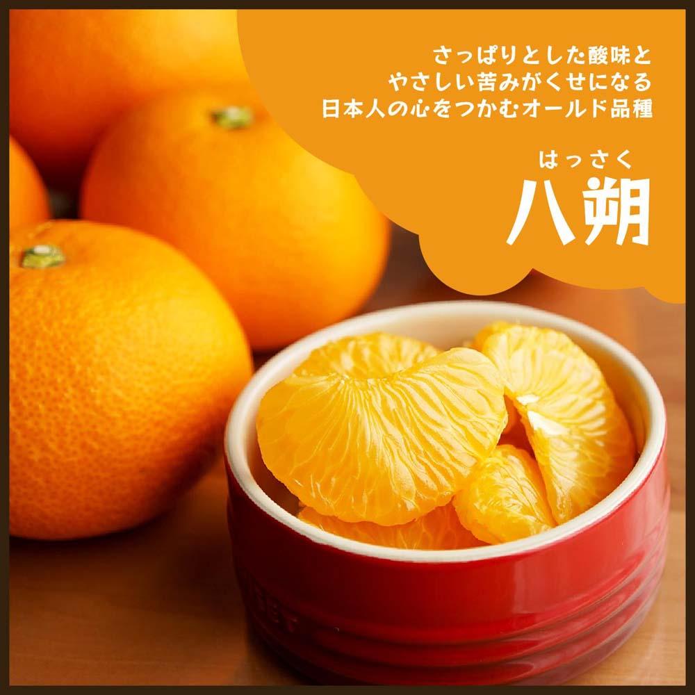 【ふるさと納税】八朔｜和歌山県海南市から産地直送でお届け｜4kg｜ご家庭用【2026年4月より発送開始】 | フルーツ 果物 くだもの 食品 人気 おすすめ 送料無料 サムネイル2