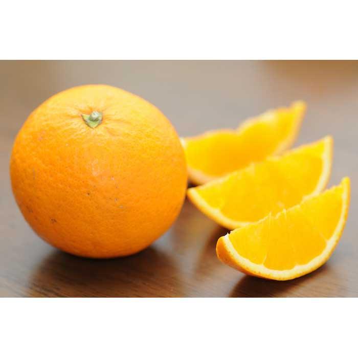 【ふるさと納税】【選べる容量】清見オレンジ 約3kg～10kg サイズおまかせ 《赤秀》 和歌山県産 農園直送 まごころ産直みかん 【北海道・沖縄県・一部離島 配送不可】 | フルーツ 送料無料 清見 きよみ オレンジ 柑橘 柑橘類 旬 サムネイル3