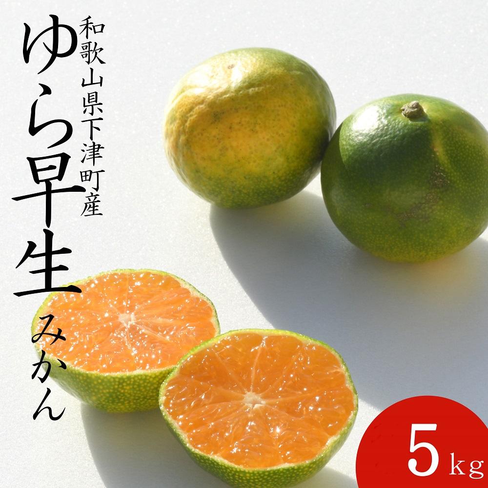 【極早生みかん】ゆら早生みかん 5kg 秀品 小粒サイズ（2S・3S） 和歌山県海南市産 産地直送