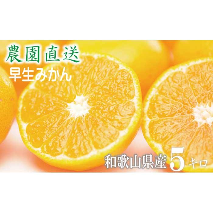 早生みかん 約5kg 大小混合 《ご家庭用》 和歌山県産 農園直送 まごころ産直みかん 【北海道・沖縄県・一部離島 配送不可】ちょっと訳あり ミカン 蜜柑 温州みかん わけあり 訳アリ 和歌山みかん 下津みかん 和歌山ミカン しもつみかん mikan | 特産品 果物