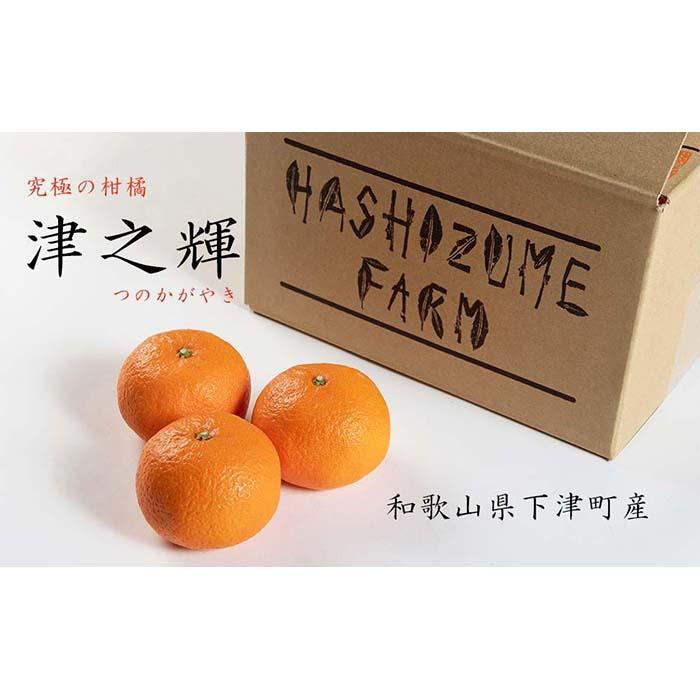 津之輝 約3kg S・M・Lサイズおまかせ 《赤秀》 和歌山県産 農園直送 まごころ産直みかん 【北海道・沖縄県・一部離島 配送不可】 つのかがやき 津の輝き 春 柑橘 果物 みかん オレンジ【Mg6】 | みかん 蜜柑 人気 おすすめ 送料無料