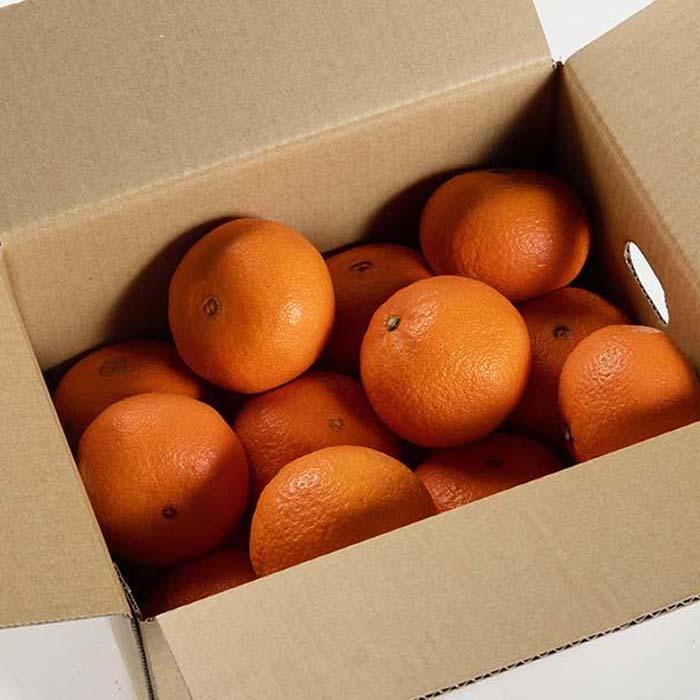 【ふるさと納税】津之輝 約3kg S・M・Lサイズおまかせ 《赤秀》 和歌山県産 農園直送 まごころ産直みかん 【北海道・沖縄県・一部離島 配送不可】 つのかがやき 津の輝き 春 柑橘 果物 みかん オレンジ【Mg6】 | みかん 蜜柑 人気 おすすめ 送料無料 サムネイル2